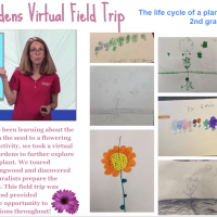 Group of photos on one page displaying colorful flowers and a virtual presenter from Longwood Gardens